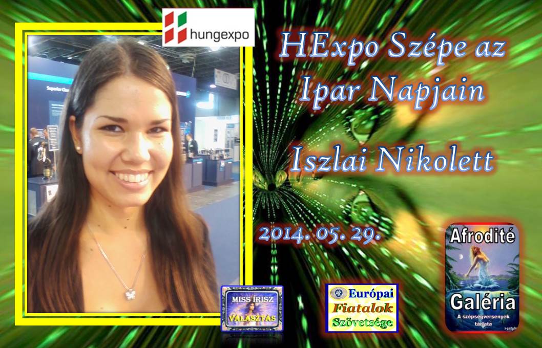 Az Ipar Napjai ki&aacute;ll&iacute;t&aacute;s Sz&eacute;pe Iszlai Nikolett 2014-05-29