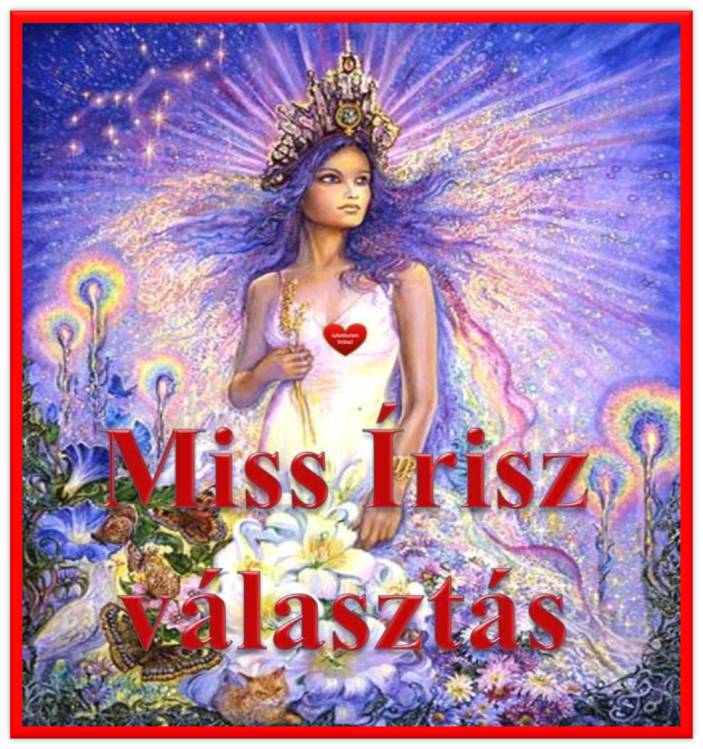 Miss &Iacute;risz v&aacute;laszt&aacute;s - 2012